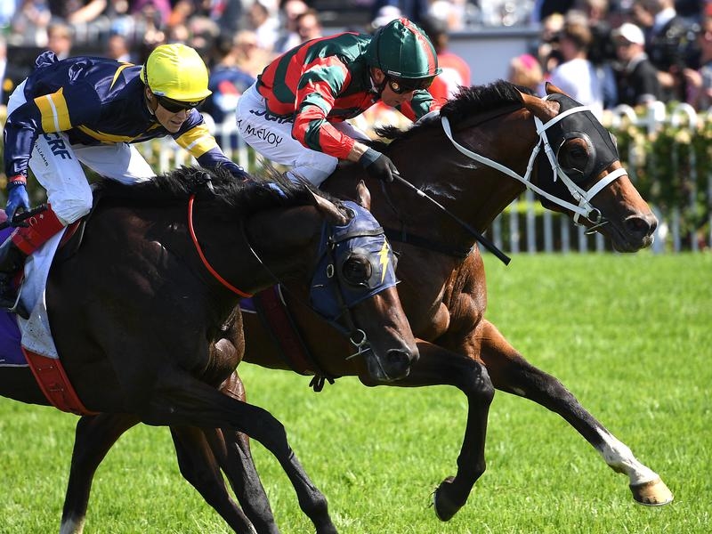 Gallops Archanna | Just Horse Racing