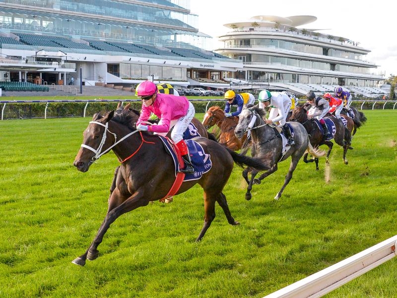 Gallops Betcha | Just Horse Racing