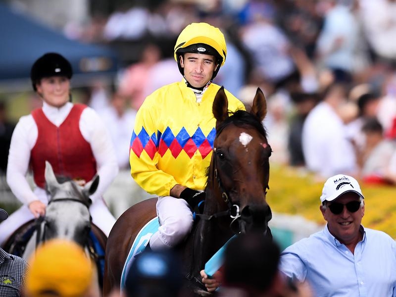 Gallops Brisbane Ballot | Just Horse Racing