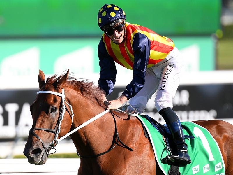 Gallops Everest | Just Horse Racing