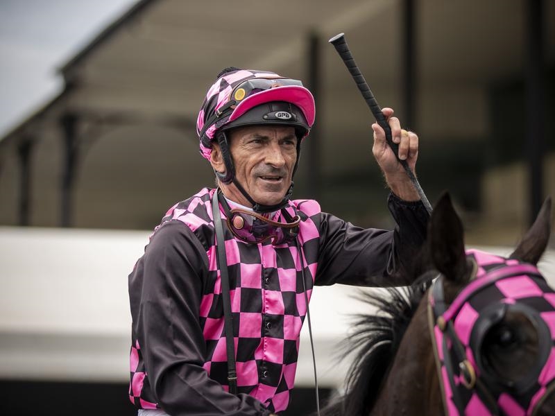Gallops Fradd | Just Horse Racing