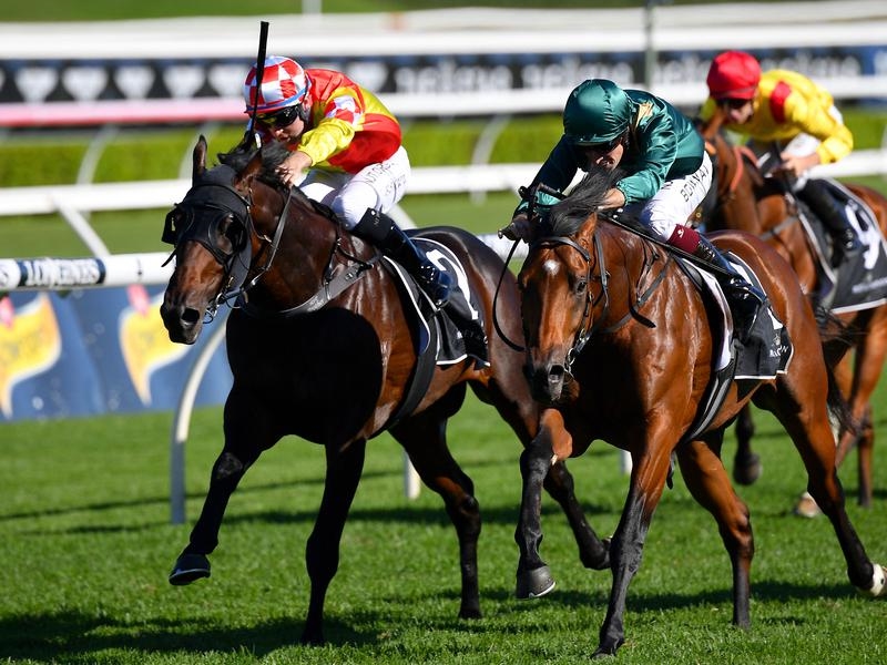 Gallops Glenfiddich | Just Horse Racing