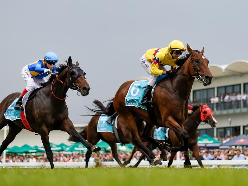 Gallops Vega One | Just Horse Racing