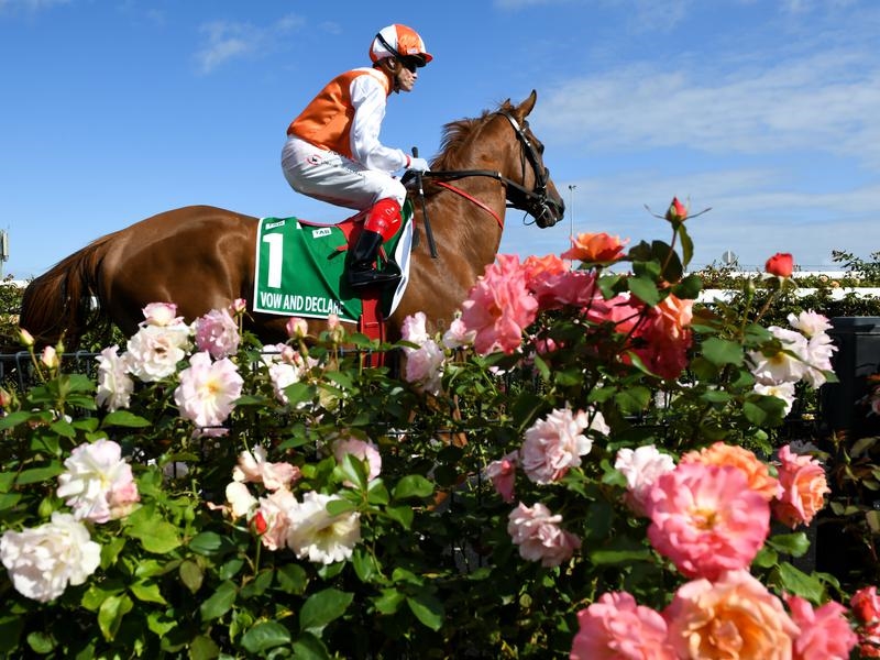 Gallops Vow | Just Horse Racing