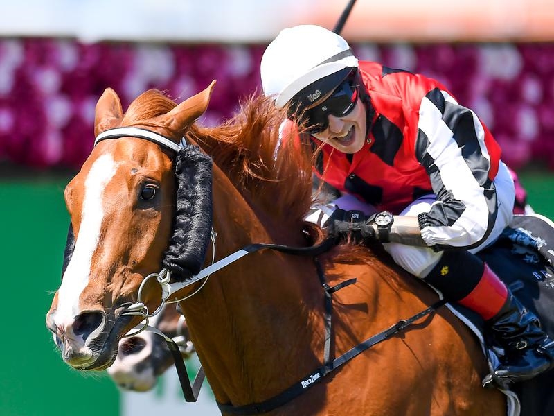 Gold Coast | Just Horse Racing