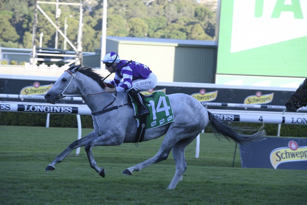 Greyworm 18042020 57402 | Just Horse Racing