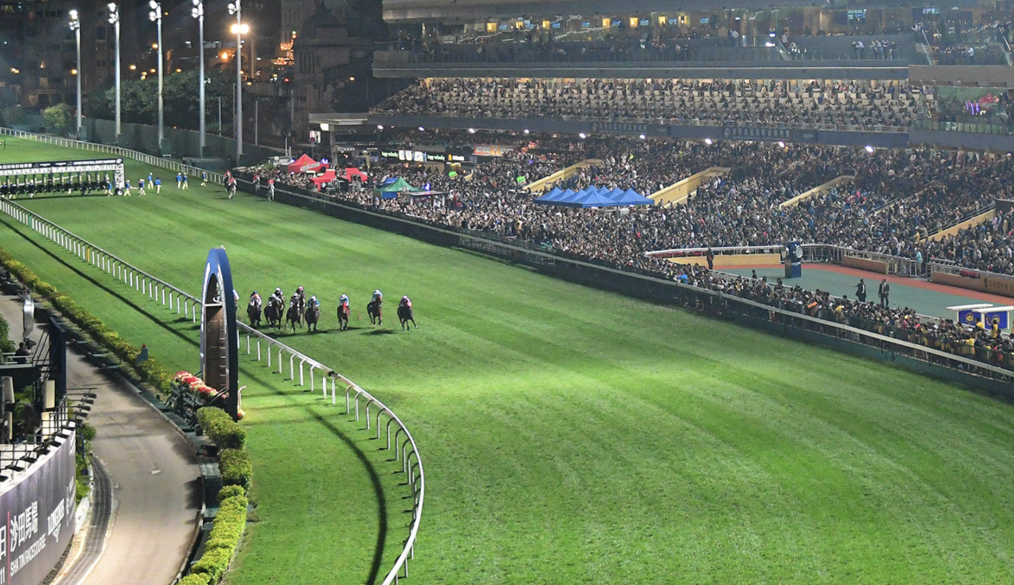 15/7/2026 Horse Racing Tips and Best Bets – Happy Valley