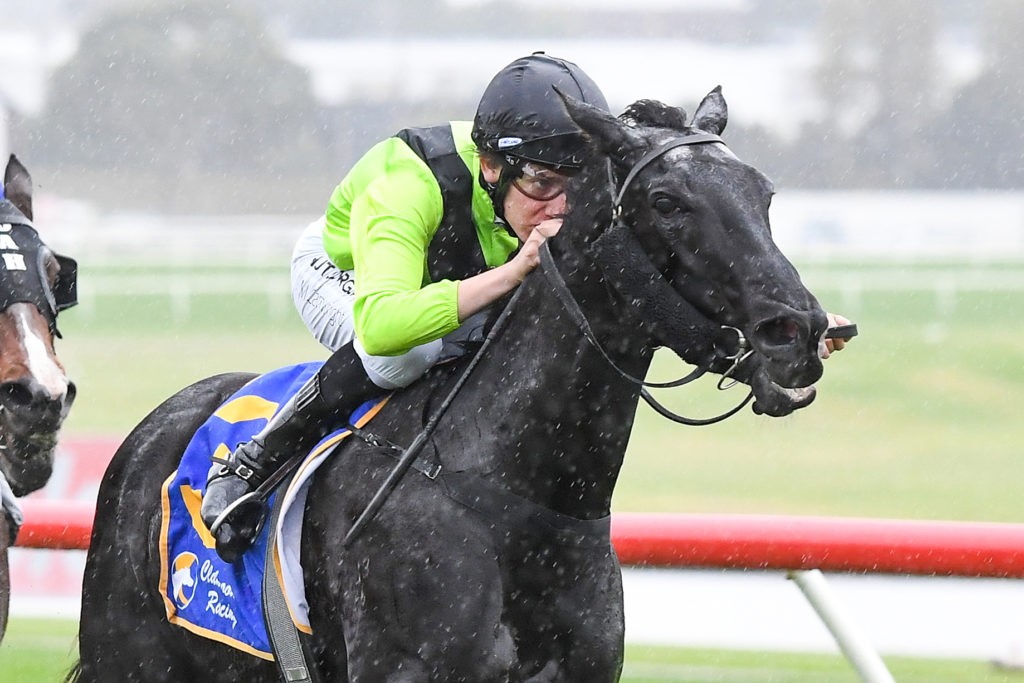 Mockery ridden by Matthew Cartwright