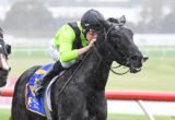 Mockery ridden by Matthew Cartwright
