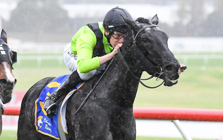 Mockery ridden by Matthew Cartwright