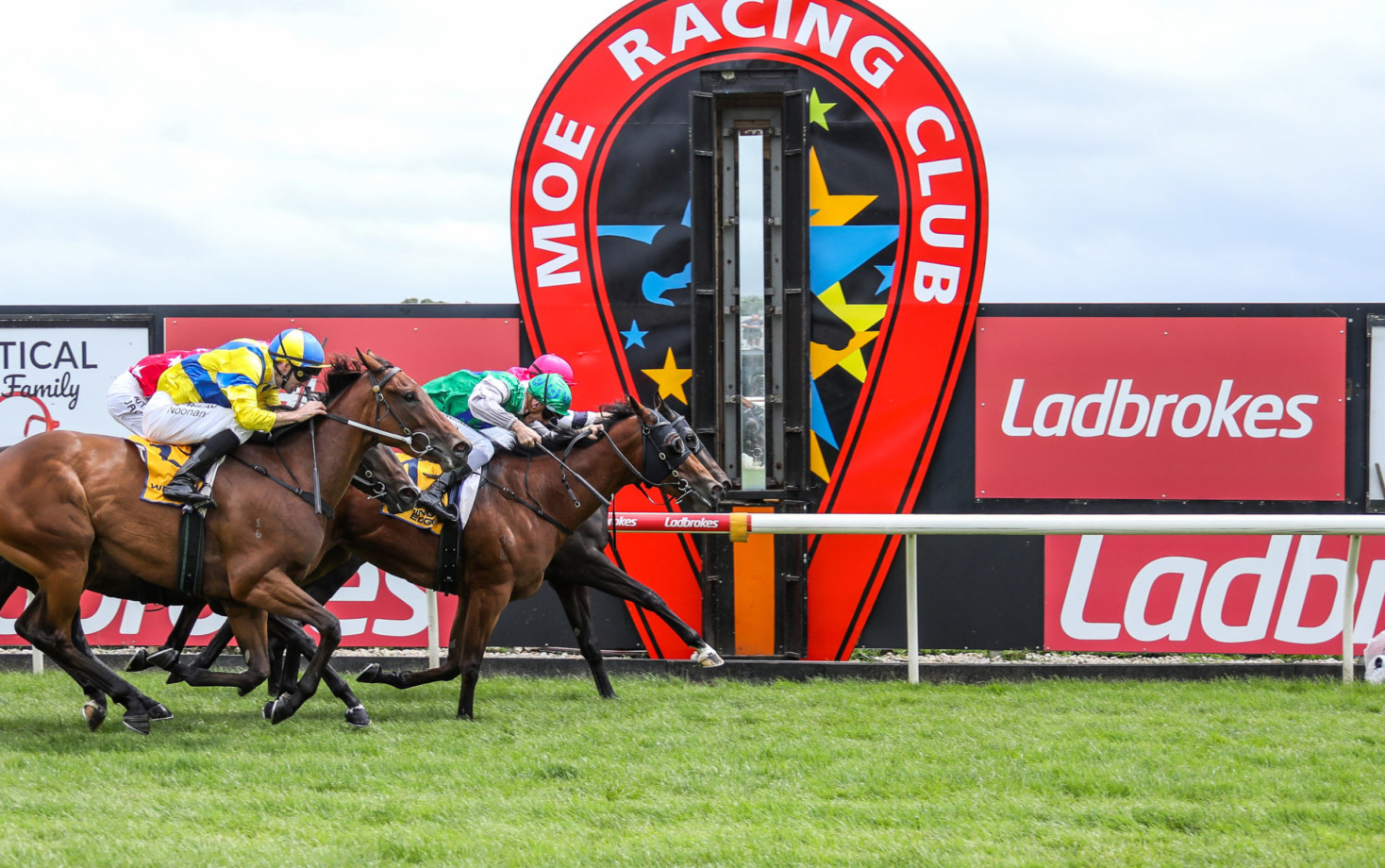 moe races today results