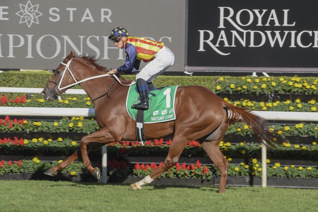 NATURE STRIP,Z_8_RW_04042020__B035_MD52510 | Just Horse Racing