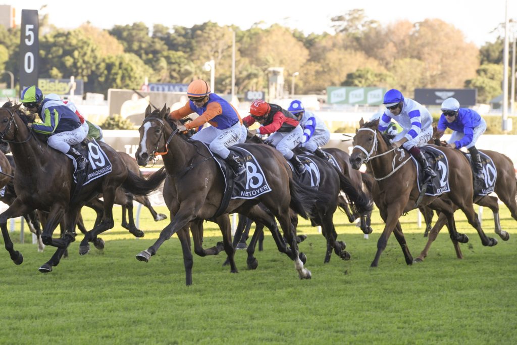 NETTOYER,Z_9_RW_04042020__B040_MD52734 | Just Horse Racing