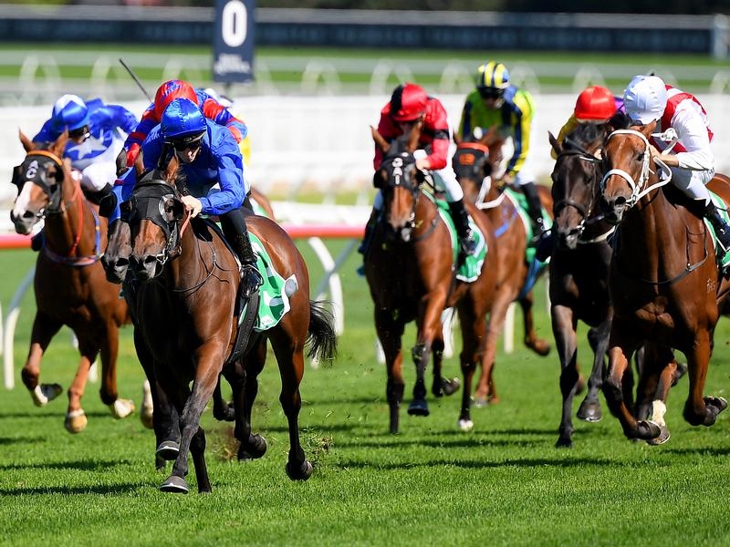 Randwick Colette | Just Horse Racing