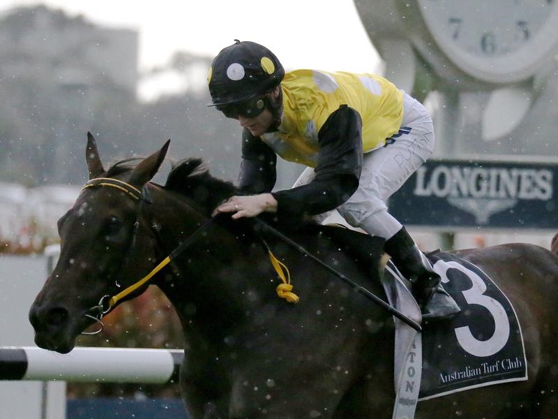 Randwick Hall Mark | Just Horse Racing