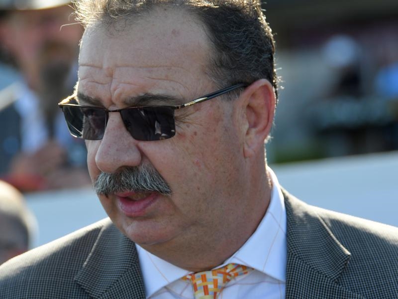 Randwick Idea | Just Horse Racing