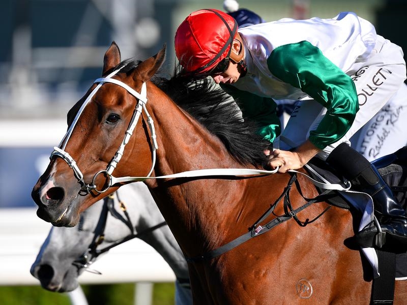 Randwick Plate | Just Horse Racing