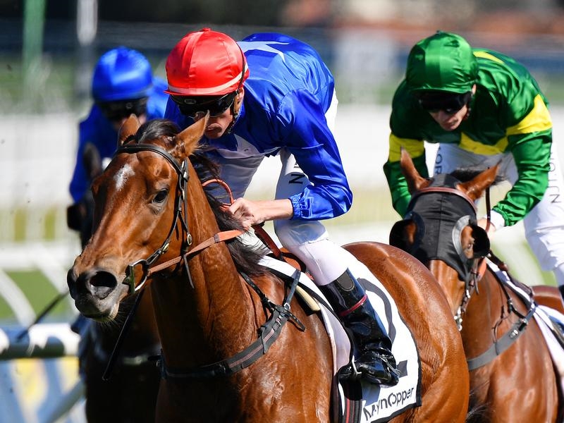 Randwick Rubisaki | Just Horse Racing