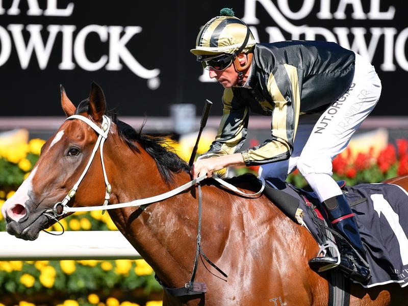Randwick Snitz | Just Horse Racing
