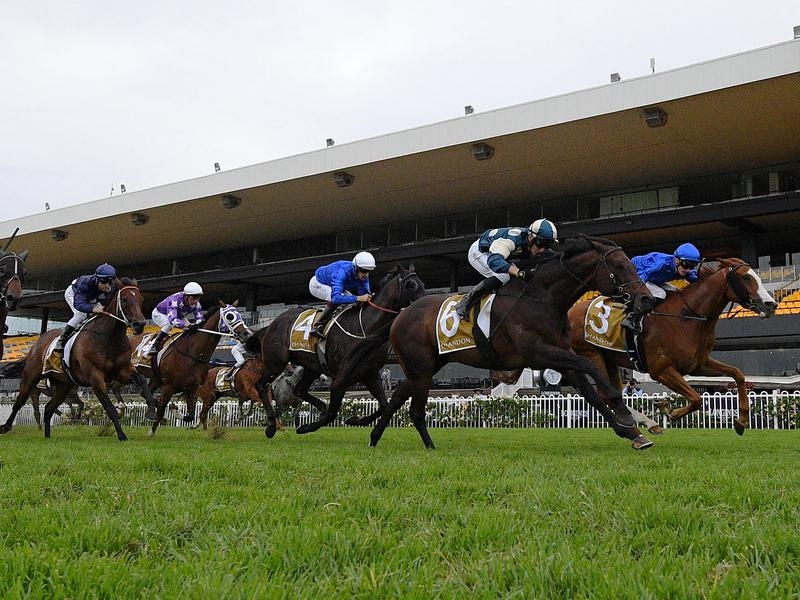 Rosehill Cup | Just Horse Racing
