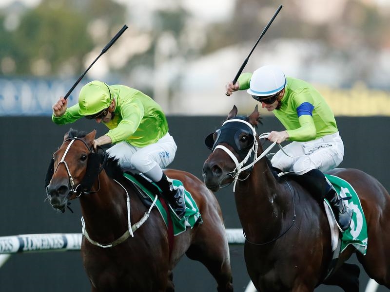 Rosehill Oakfield | Just Horse Racing