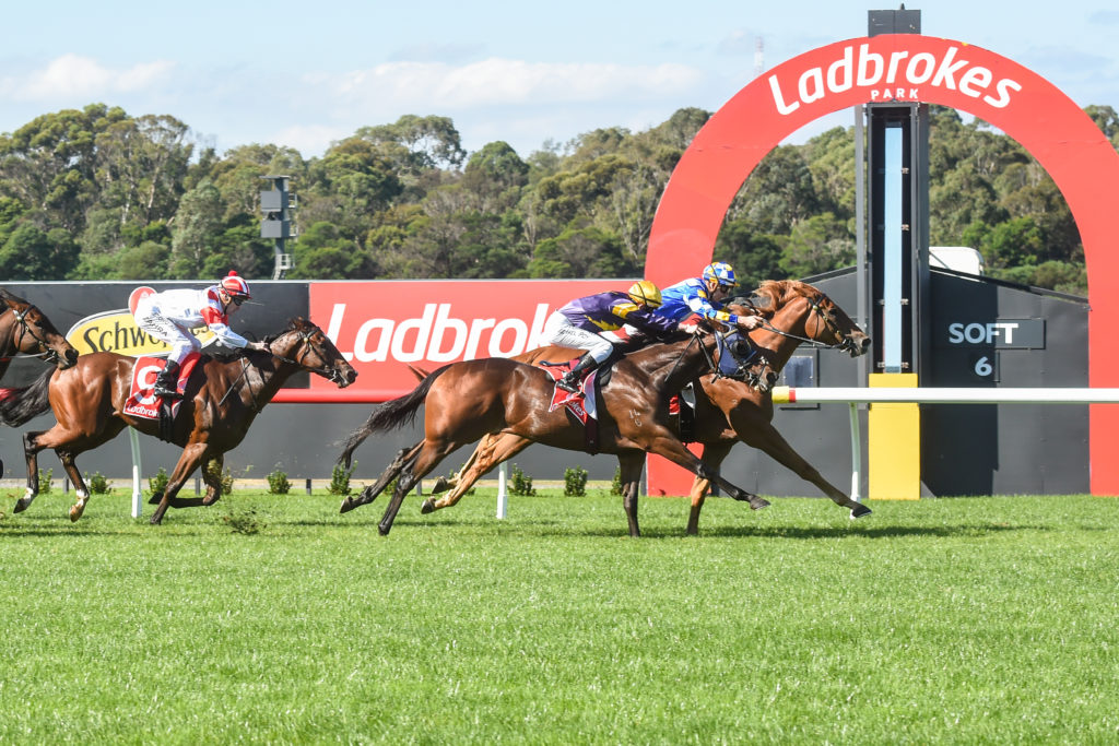 18/9/2024 Horse Racing Tips and Best Bets – Sandown