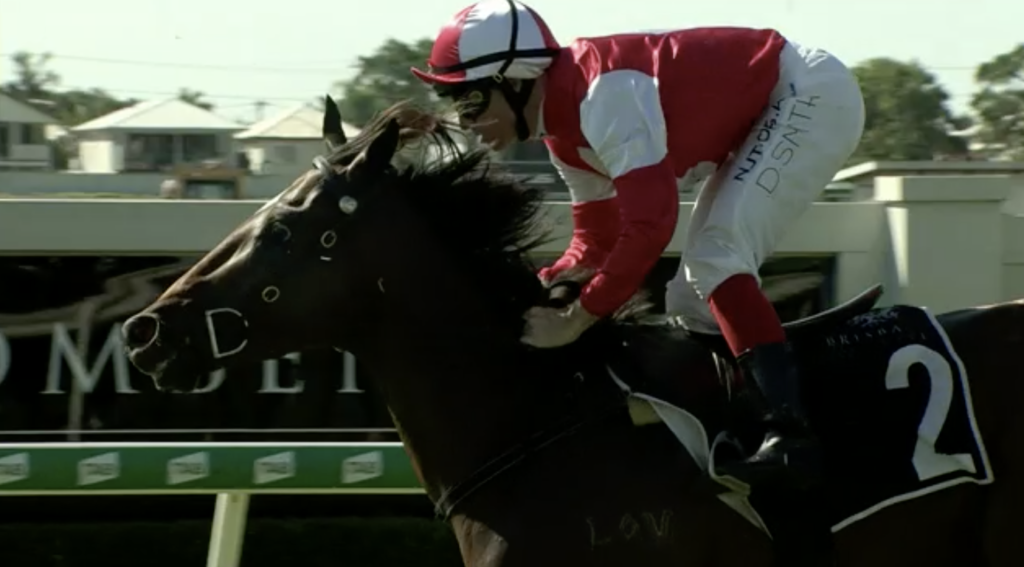 Shadow Of Time | Just Horse Racing