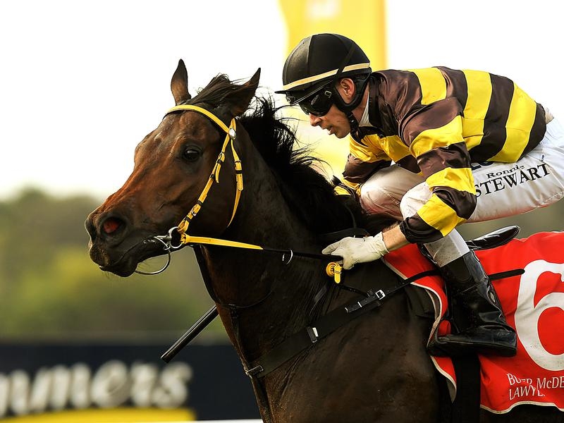 Sunshine Coast | Just Horse Racing