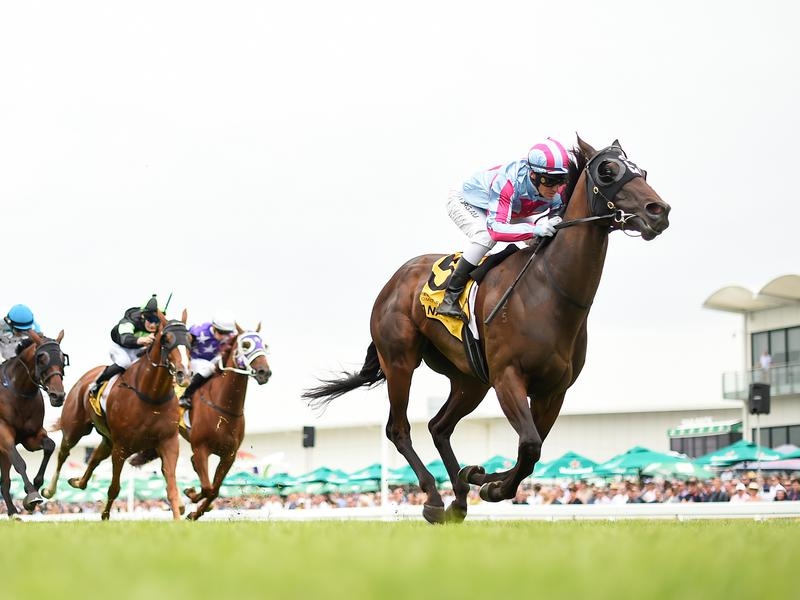 Sunshine Coast Preview | Just Horse Racing