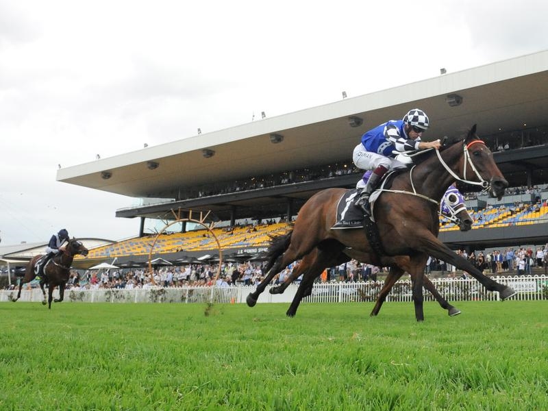 Sydney Cup Preview | Just Horse Racing
