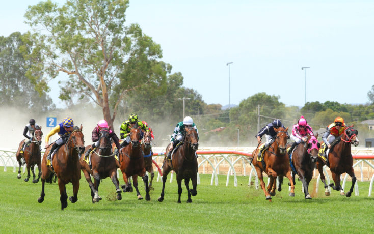 Wangaratta races