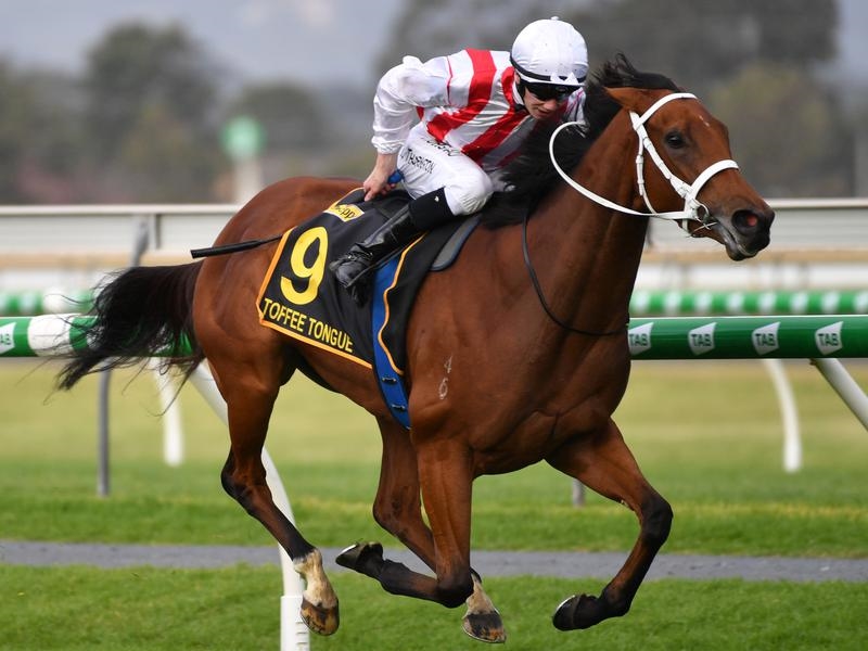 Australasian Oaks | Just Horse Racing
