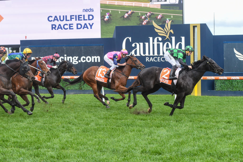 /r5/ | Just Horse Racing