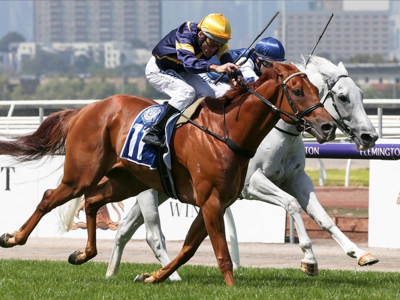 Caulfield | Just Horse Racing