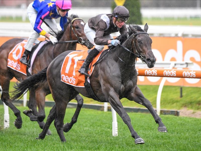 Caulfield Aidensfield | Just Horse Racing