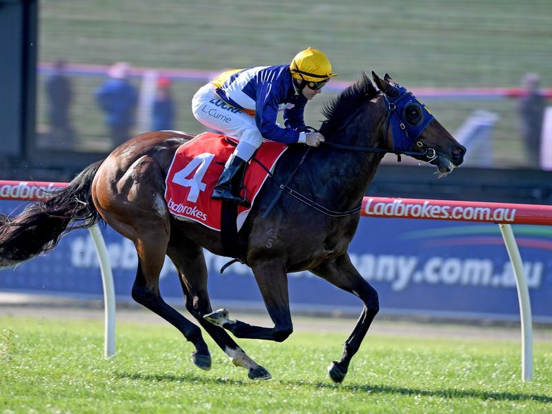 Caulfield Scottish | Just Horse Racing