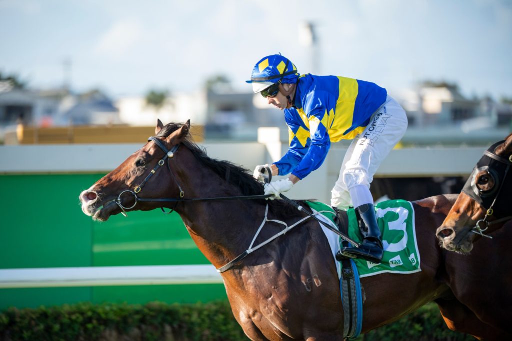 Dawn Passage | Just Horse Racing