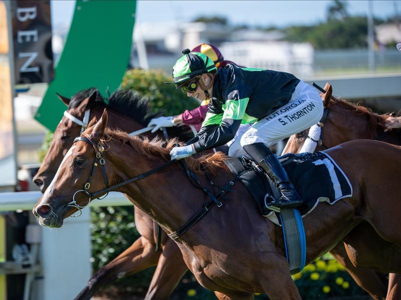 Doomben Kiss | Just Horse Racing