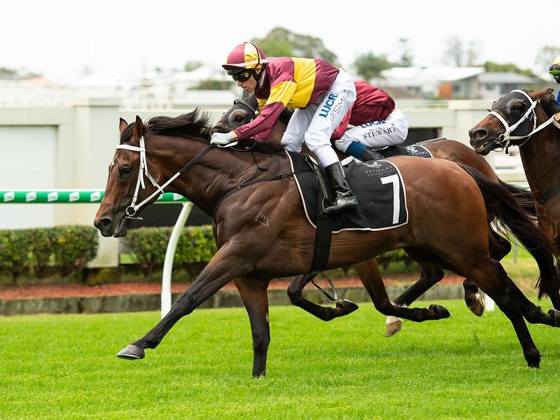 Doomben Magnufighter | Just Horse Racing
