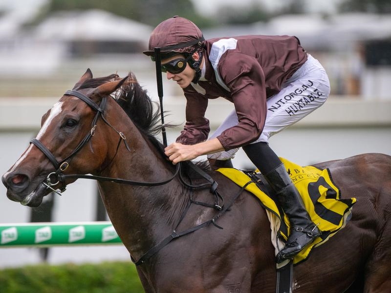 Doomben Preview | Just Horse Racing