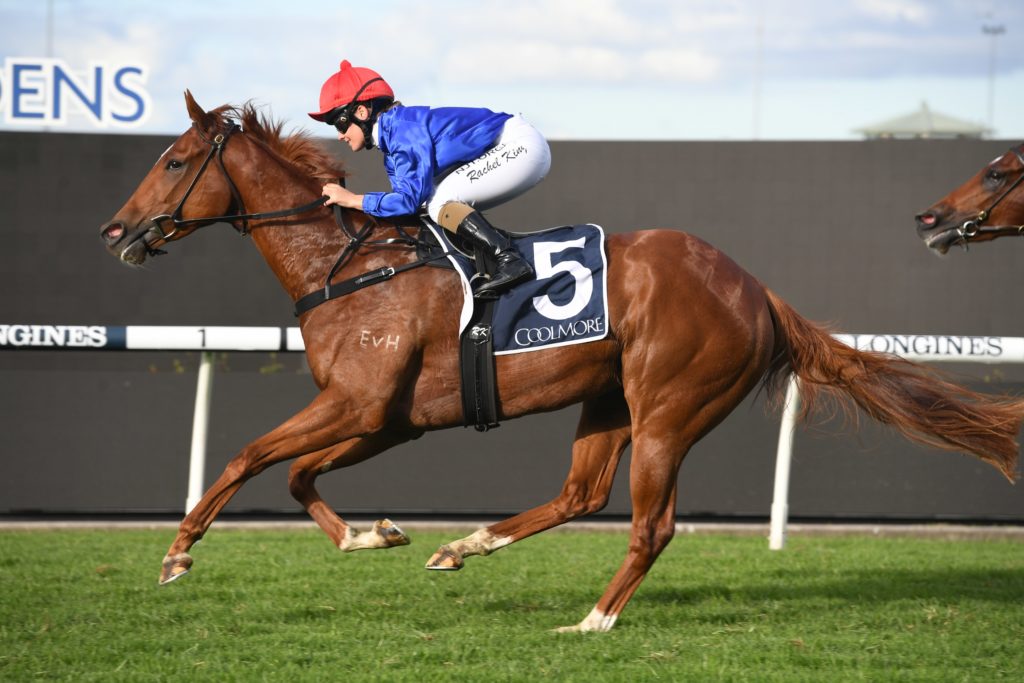 Fituese 16052020 2191 | Just Horse Racing