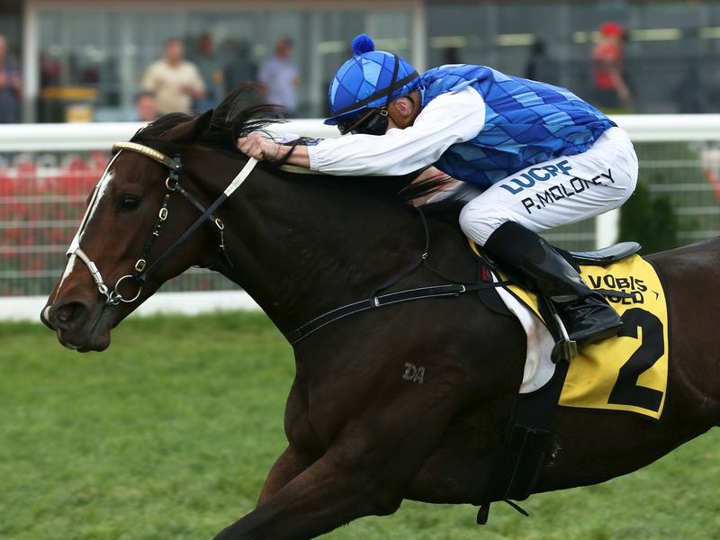 Flemington | Just Horse Racing