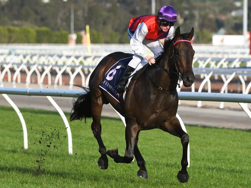 Flemington Hastings | Just Horse Racing