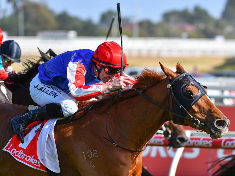 Gallops Flemington | Just Horse Racing