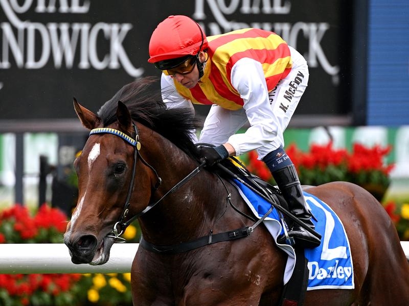 Gallops Peltzer | Just Horse Racing