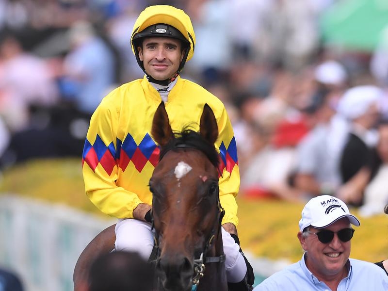 Gallops Rodd | Just Horse Racing