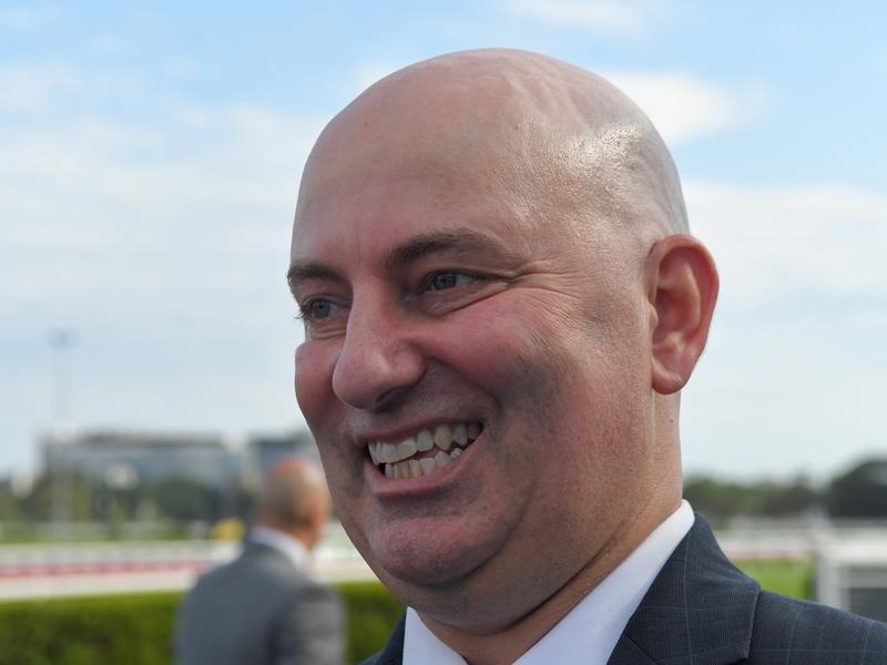 Gallops Rosehill | Just Horse Racing