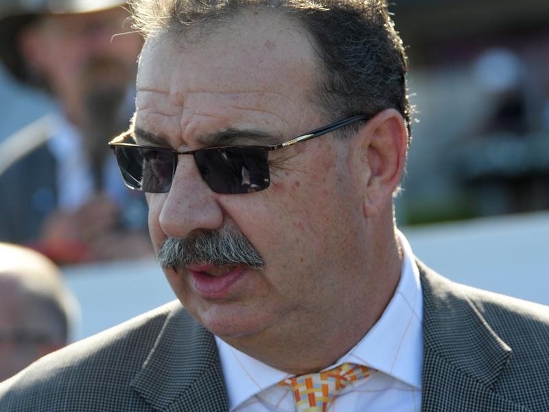 Gallops Sargent | Just Horse Racing