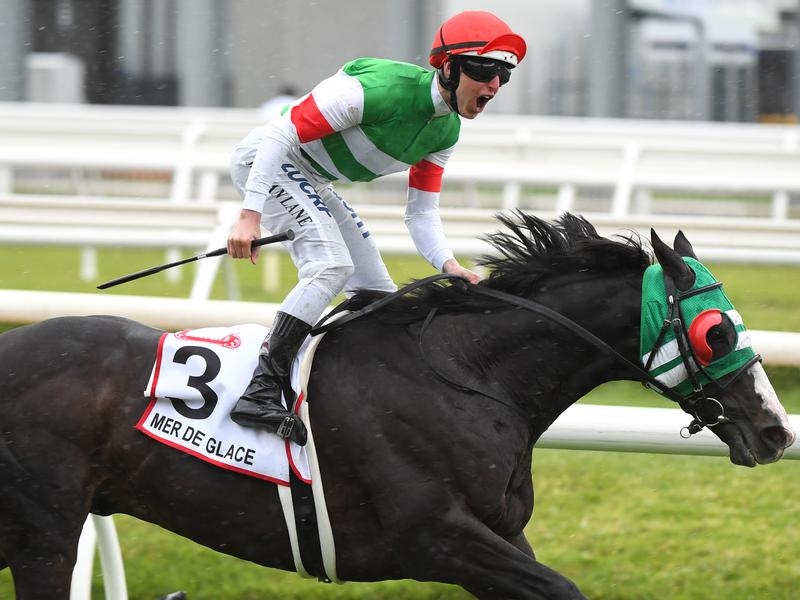 Gallops Spring | Just Horse Racing