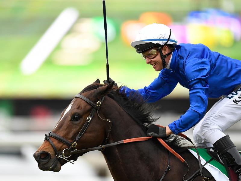 Gallops Stradbroke | Just Horse Racing